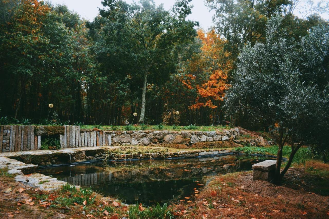 Quinta Das Fontes - Alojamento Rustico Local E Turismo Rural 사오페드로도술 외부 사진