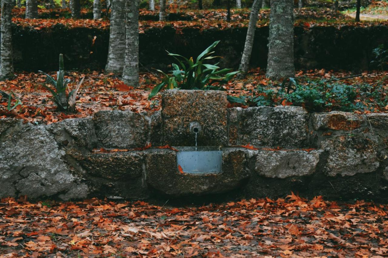 Quinta Das Fontes - Alojamento Rustico Local E Turismo Rural 사오페드로도술 외부 사진