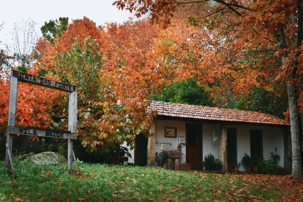 Quinta Das Fontes - Alojamento Rustico Local E Turismo Rural 사오페드로도술 외부 사진