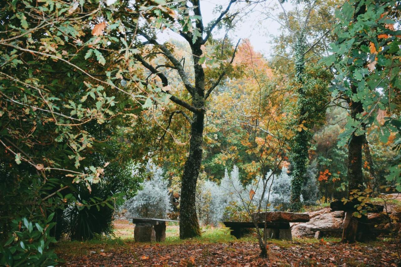Quinta Das Fontes - Alojamento Rustico Local E Turismo Rural 사오페드로도술 외부 사진