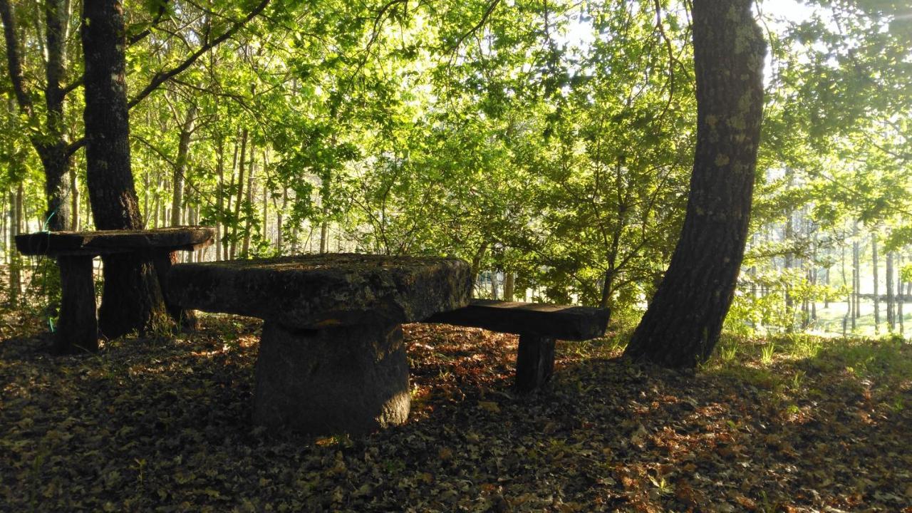 Quinta Das Fontes - Alojamento Rustico Local E Turismo Rural 사오페드로도술 외부 사진