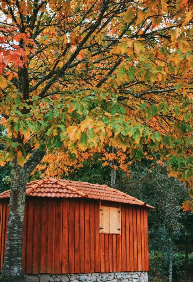 Quinta Das Fontes - Alojamento Rustico Local E Turismo Rural 사오페드로도술 외부 사진