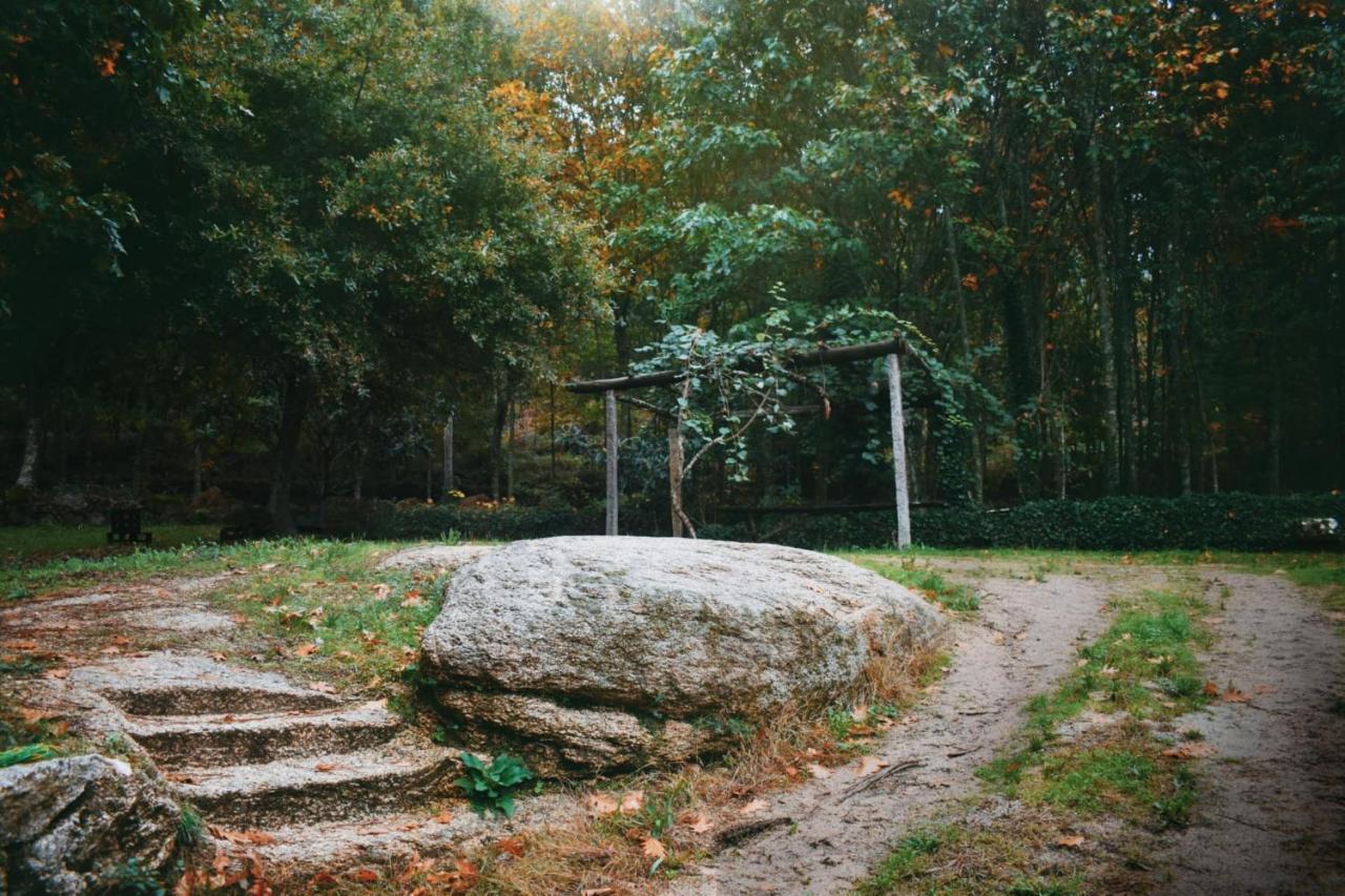 Quinta Das Fontes - Alojamento Rustico Local E Turismo Rural 사오페드로도술 외부 사진