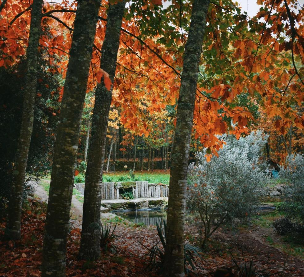 Quinta Das Fontes - Alojamento Rustico Local E Turismo Rural 사오페드로도술 외부 사진