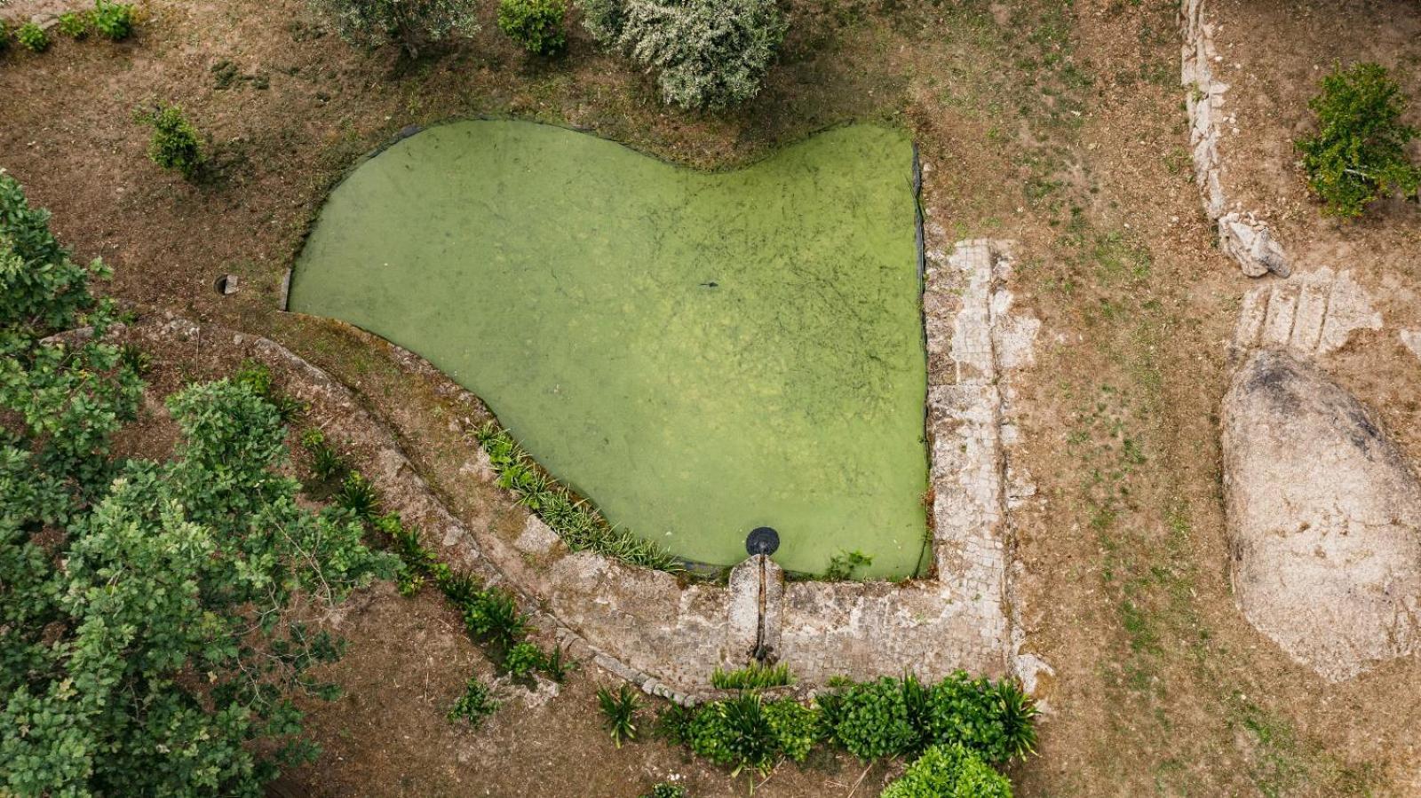Quinta Das Fontes - Alojamento Rustico Local E Turismo Rural 사오페드로도술 외부 사진