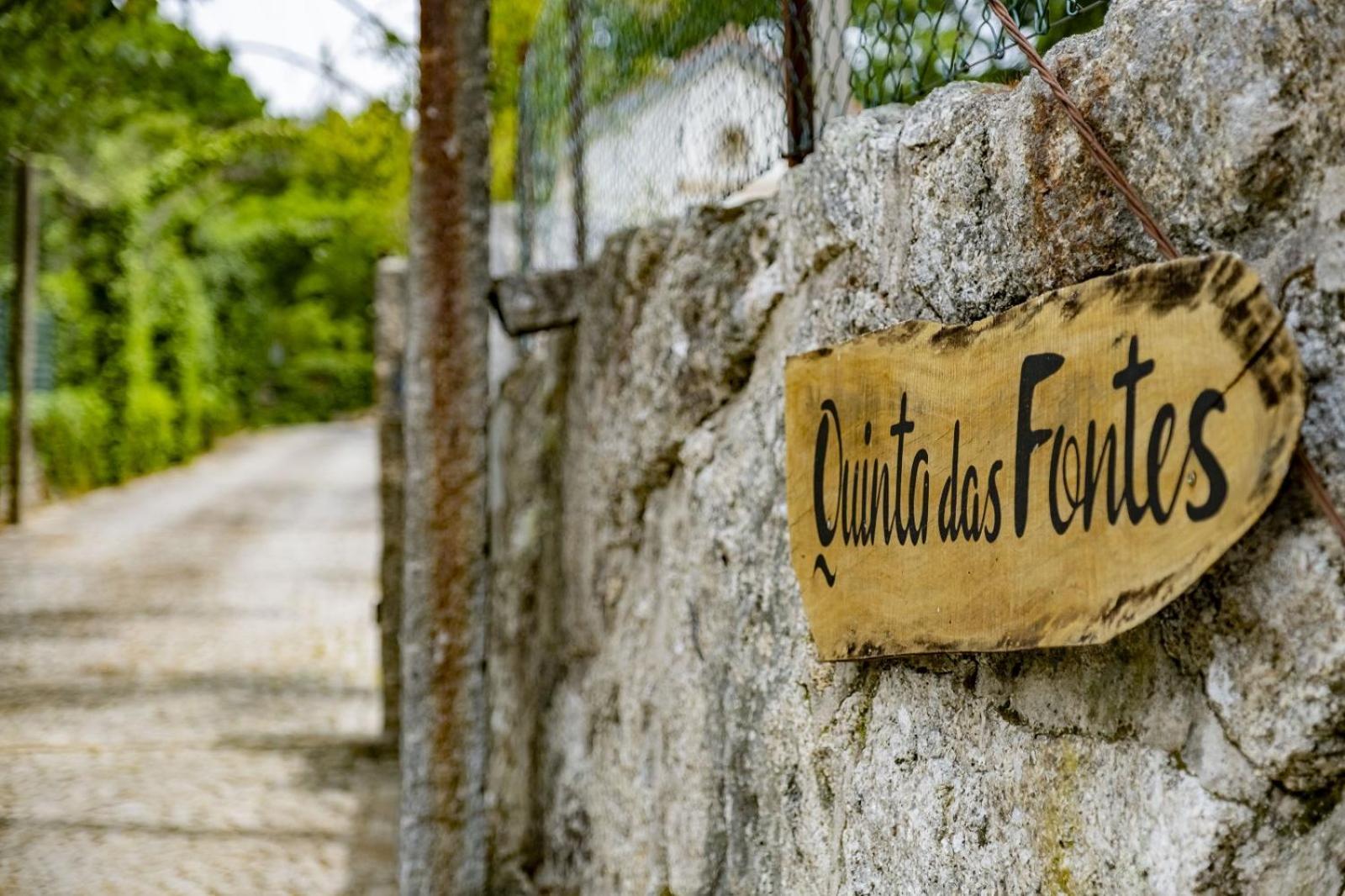 Quinta Das Fontes - Alojamento Rustico Local E Turismo Rural 사오페드로도술 외부 사진
