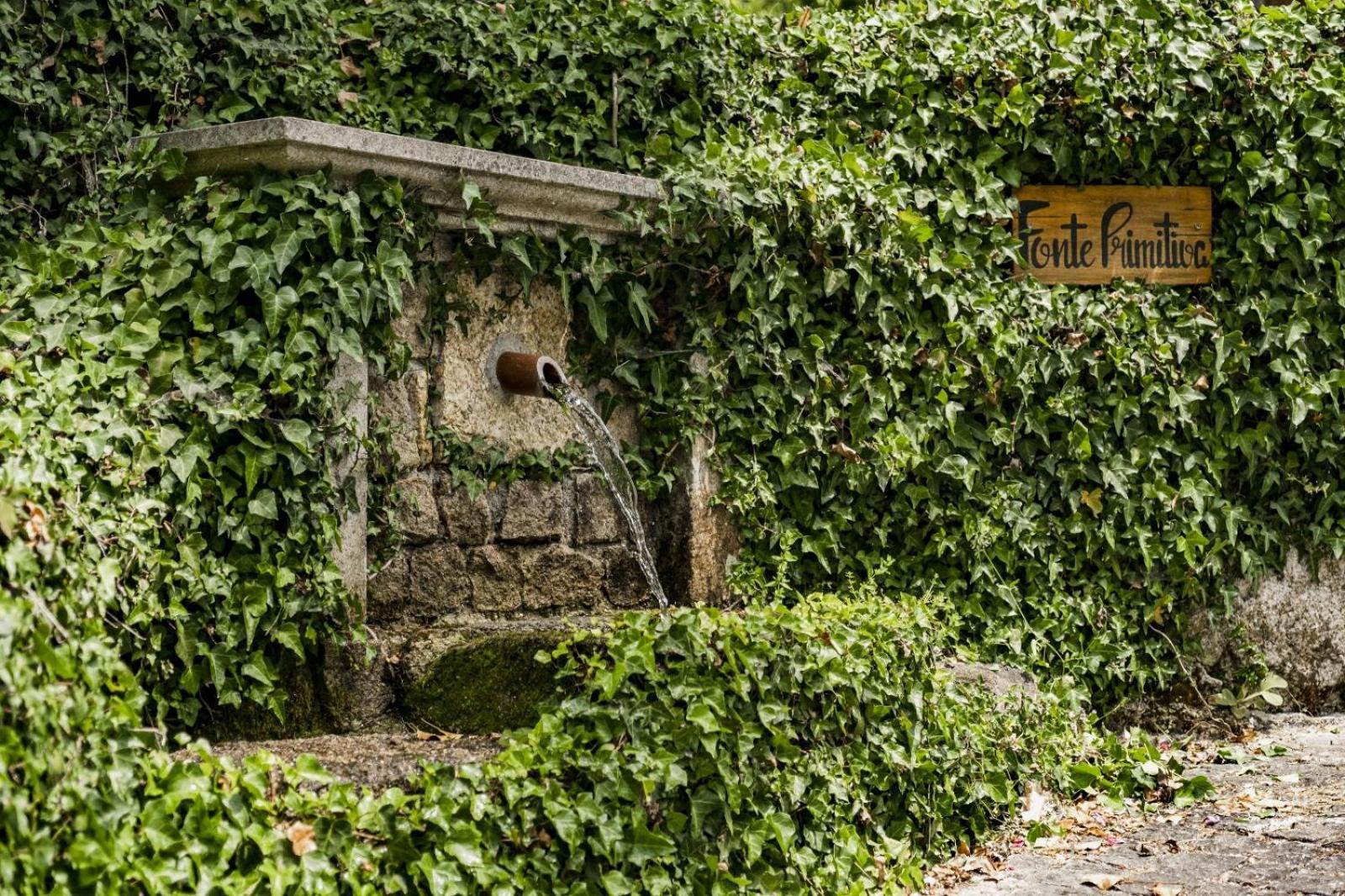 Quinta Das Fontes - Alojamento Rustico Local E Turismo Rural 사오페드로도술 외부 사진