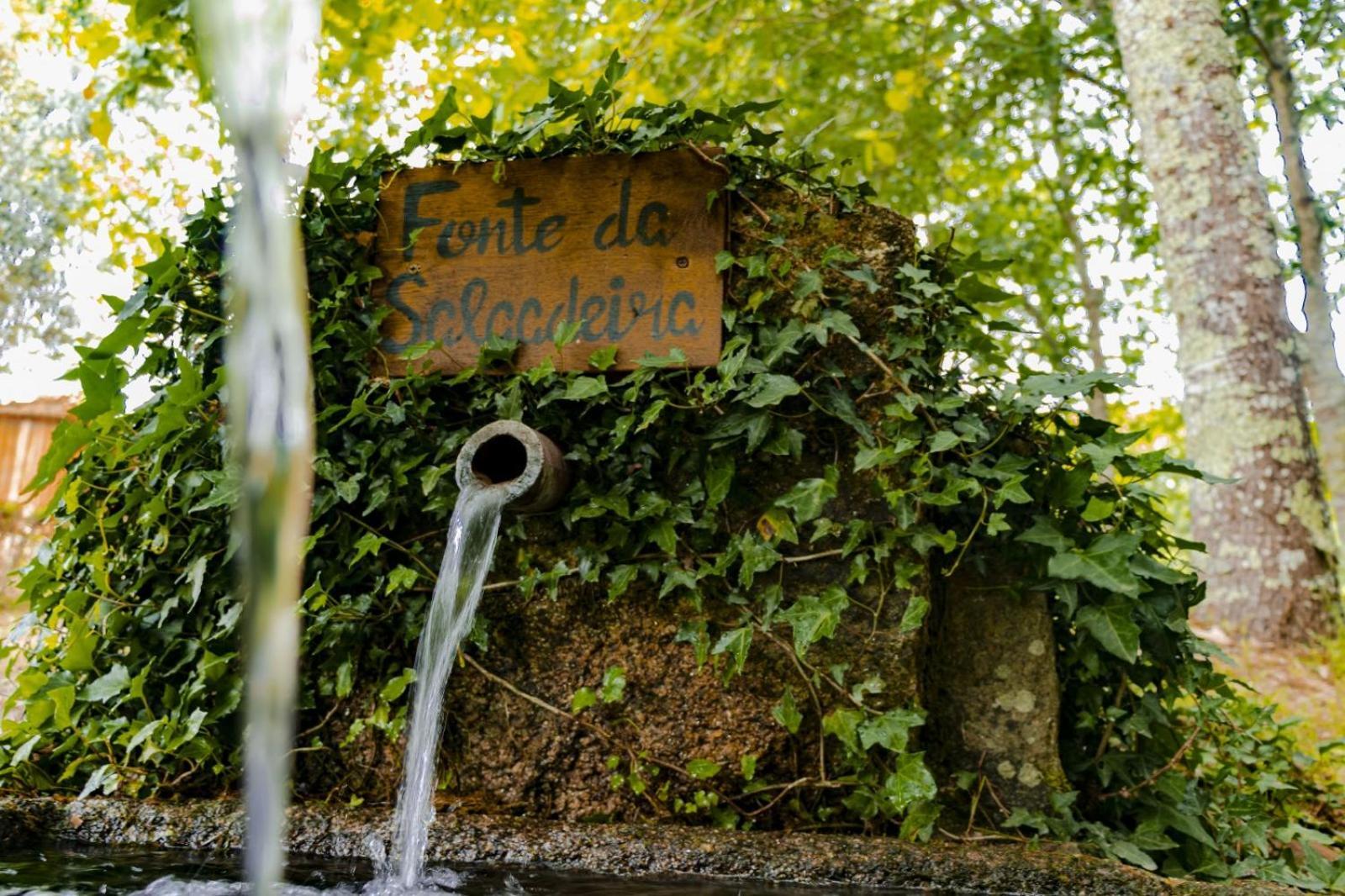Quinta Das Fontes - Alojamento Rustico Local E Turismo Rural 사오페드로도술 외부 사진